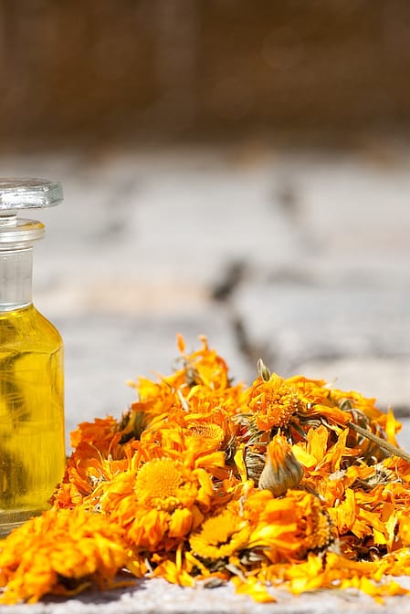 calendula bloemen