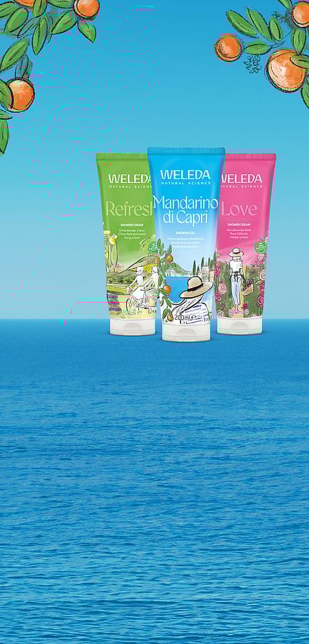 Verschiedene Weleda Duschen
