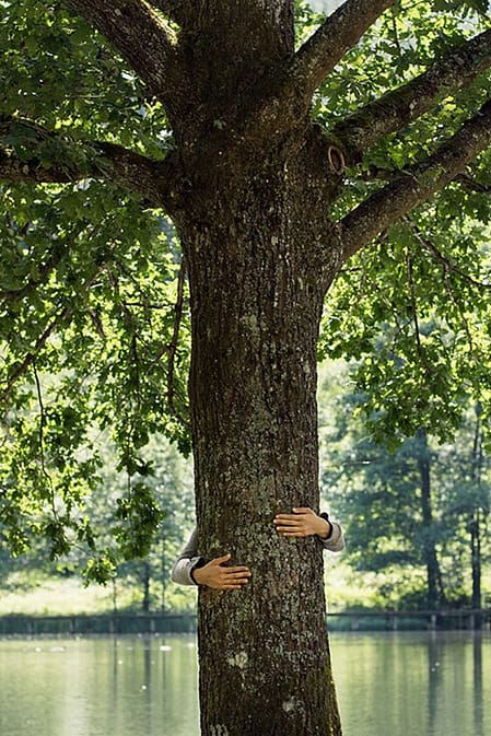 Hands around tree