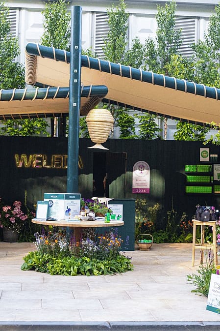 RHS Chelsea Flower Show