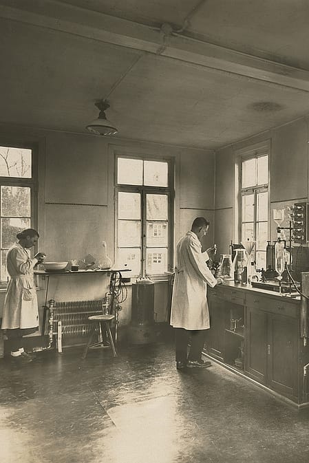 Weleda heritage