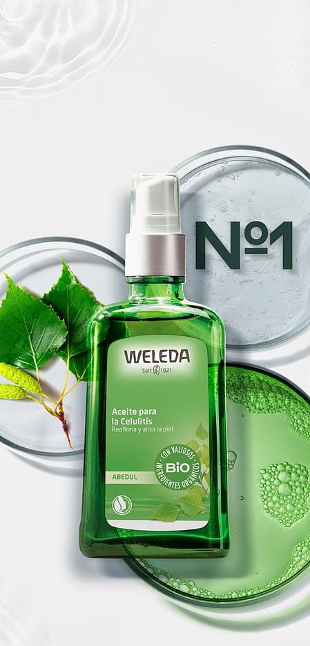 cabecera abedul n1