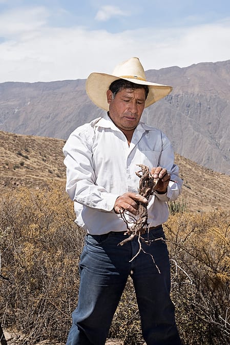 man in a red shirt in front of a mountain
