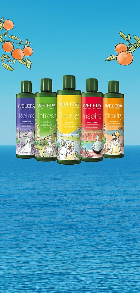 Save £5 on Shower Creams and Gels