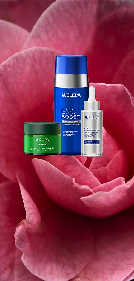 Rosa Rose im Hintergrund, davor 3 Weleda Produkte