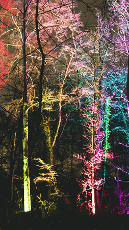 Festival de Lumières Floridylle