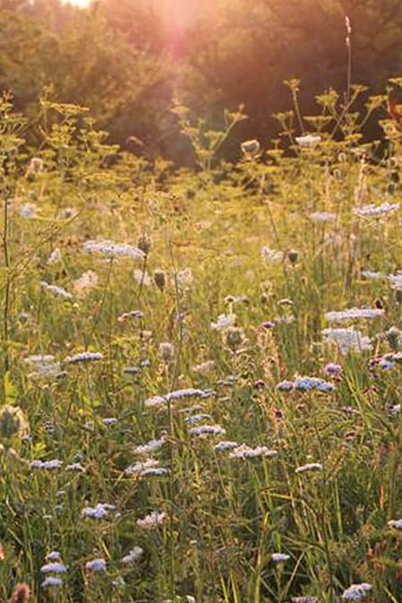 Kneuzing door sporten