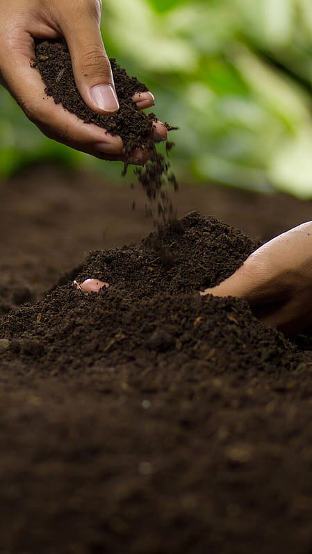 manos cogiendo tierra del suelo
