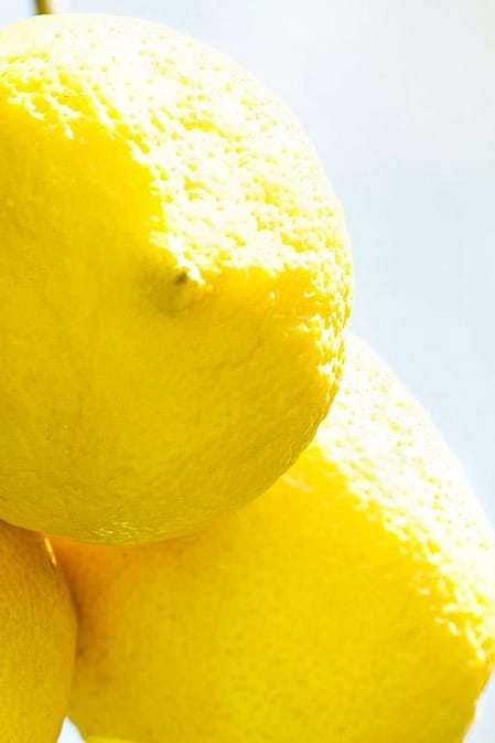 group of lemons in sunlight