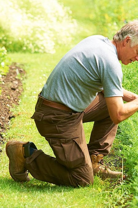 agriculture bio-dynamique