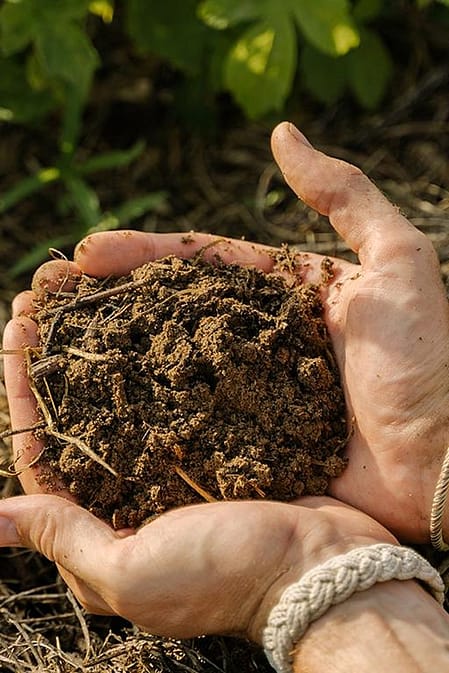 Zwei Haende halten Kompost