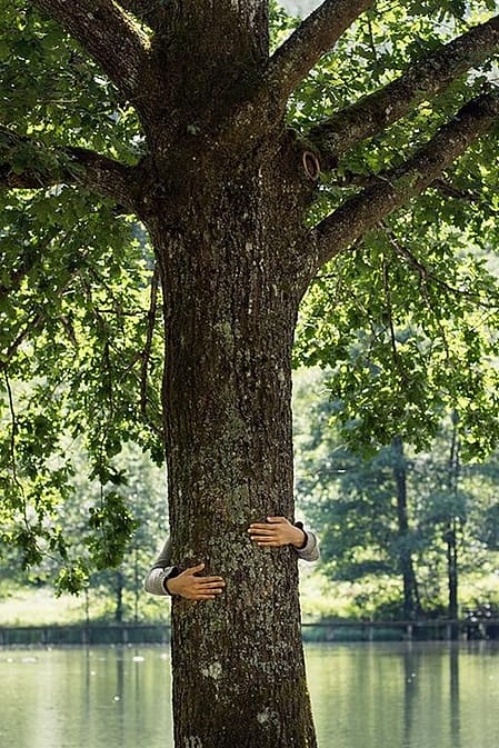 persona abrazando a un arbol en un bosque con un lago