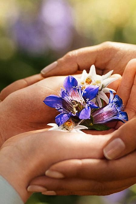 Hands holding flowers