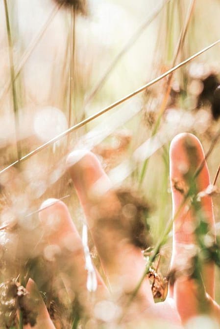 Gebruik je zintuigen