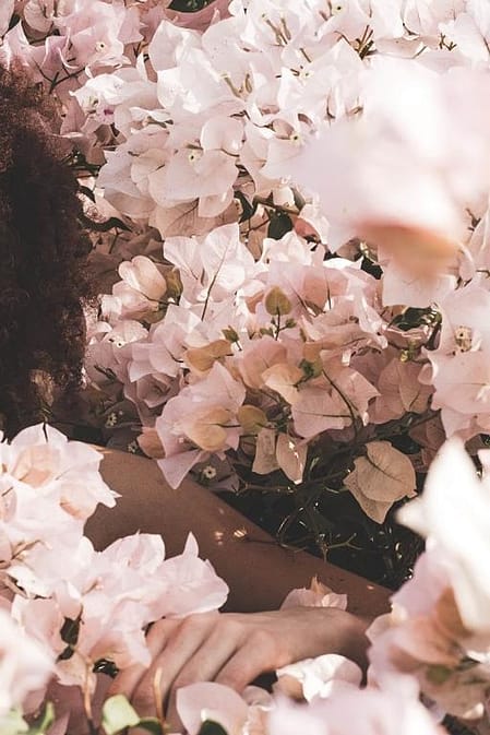 Wellness van top tot teen