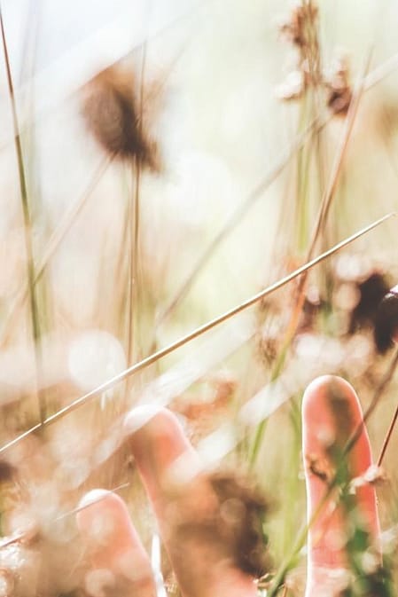 Haal de natuur naar binnen