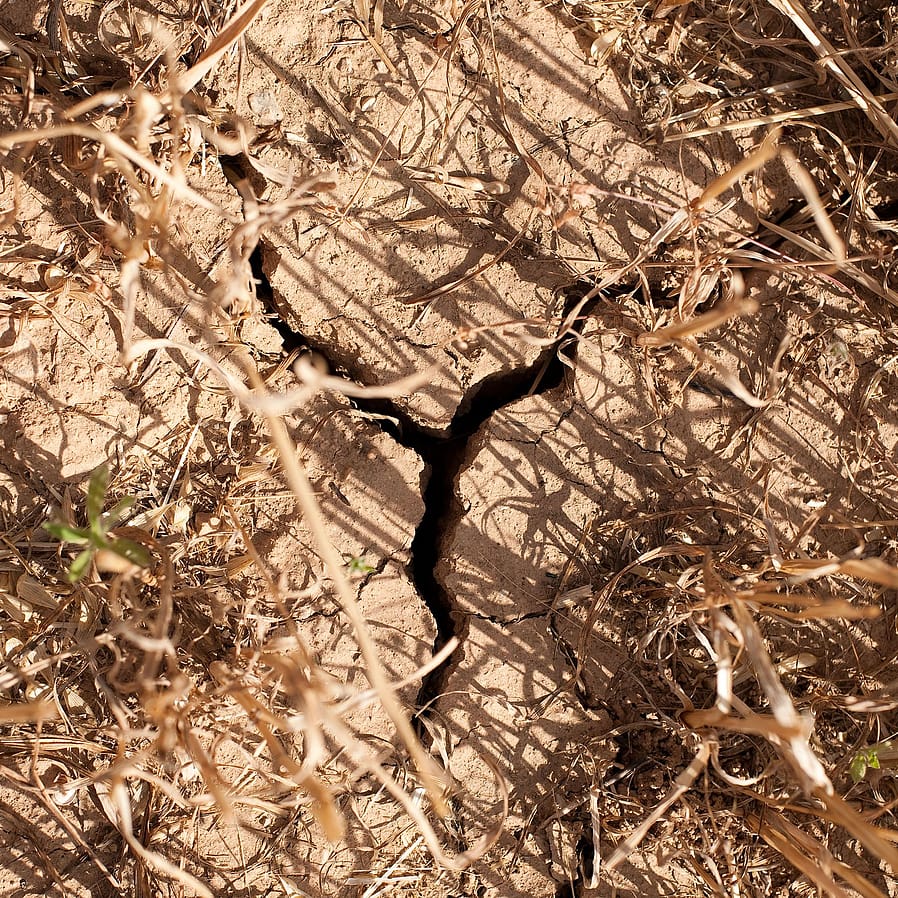 Trockene Erde