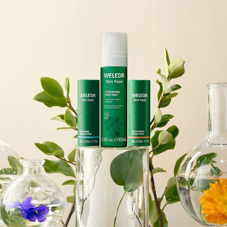 skin food face mist serum sticks