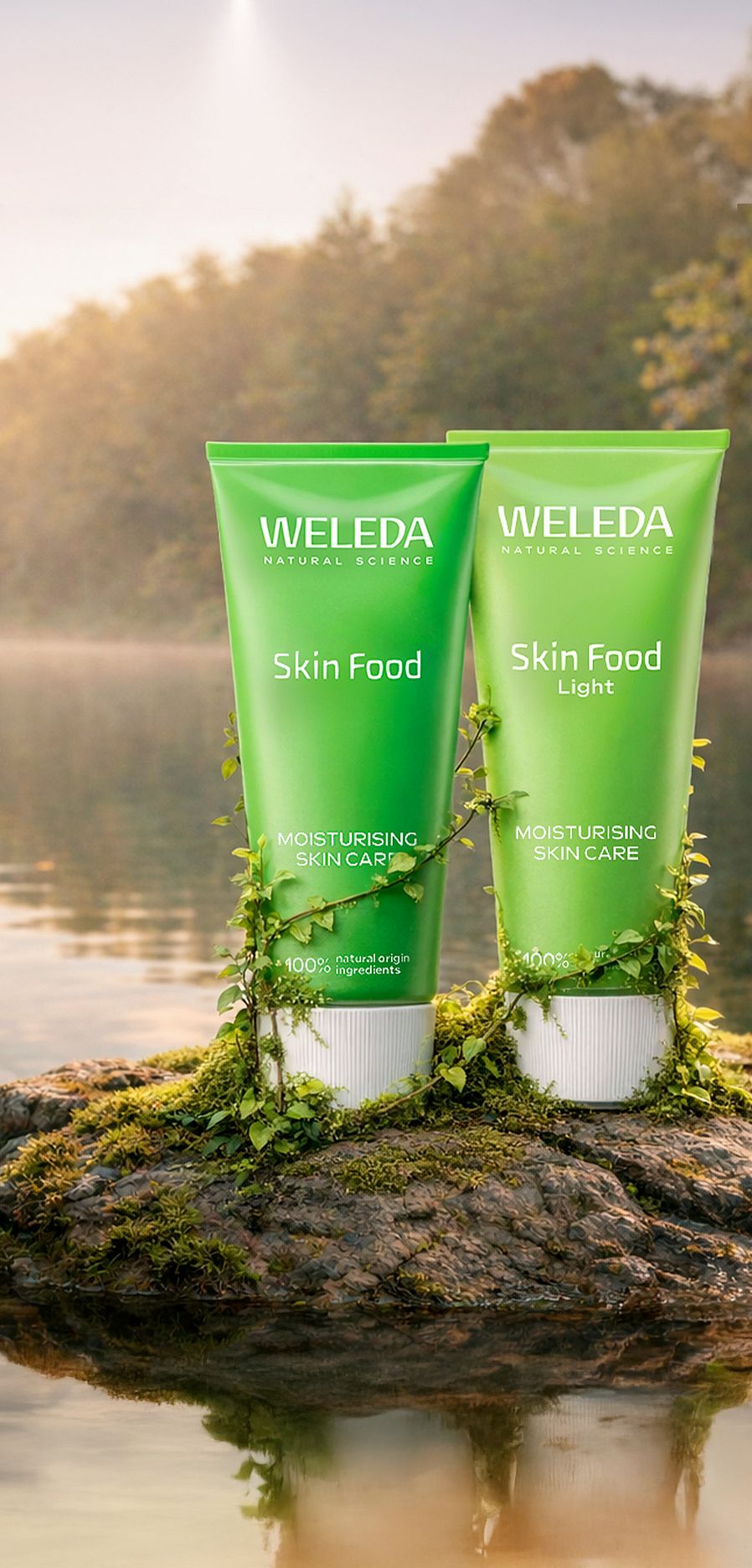 Banner per la giornata internazionale delle foreste: prodotti della linea Skin Food di fronte a una foresta