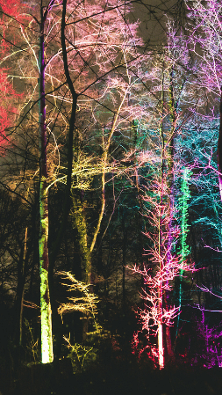 Lichtfestival Floridylle