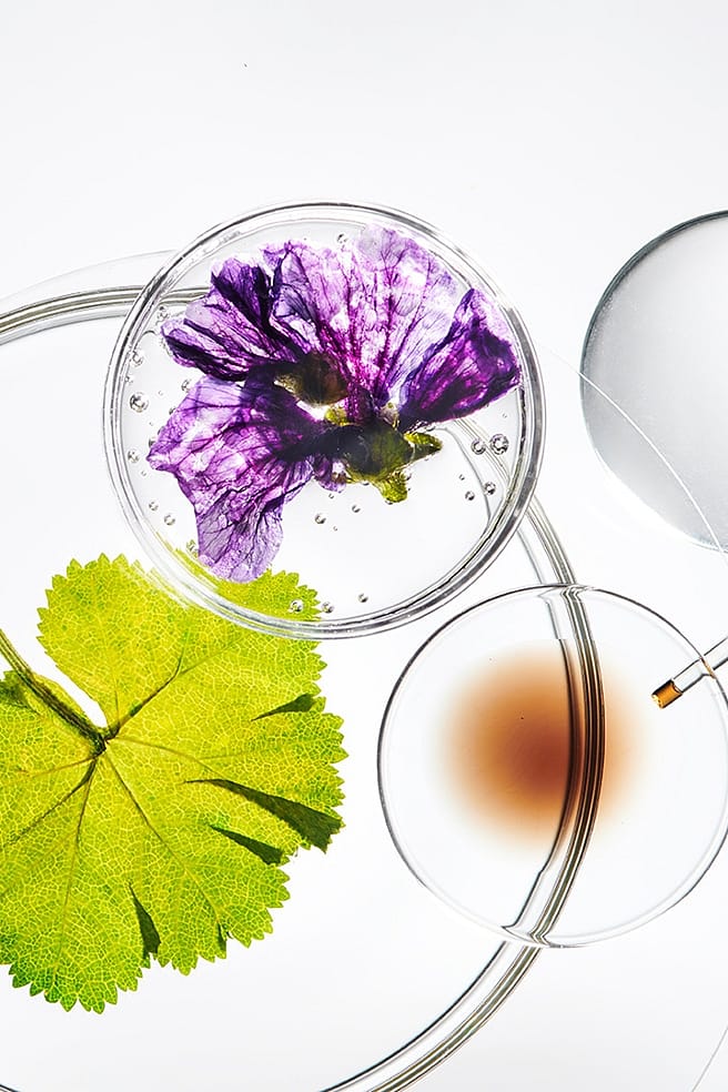 Des ingredients different