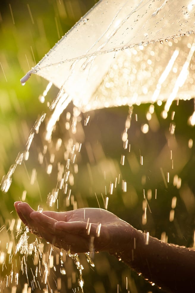 Parapluie sous la pluie
