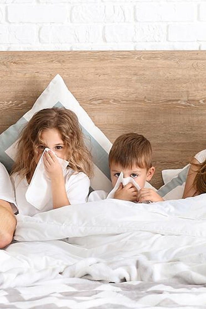 Familie im Bett alle schneuzen sich