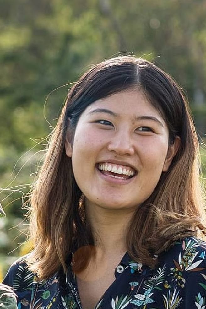 femme dans les tournesols