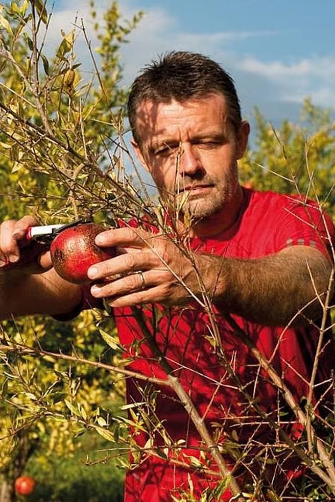 Là où pousse la beauté