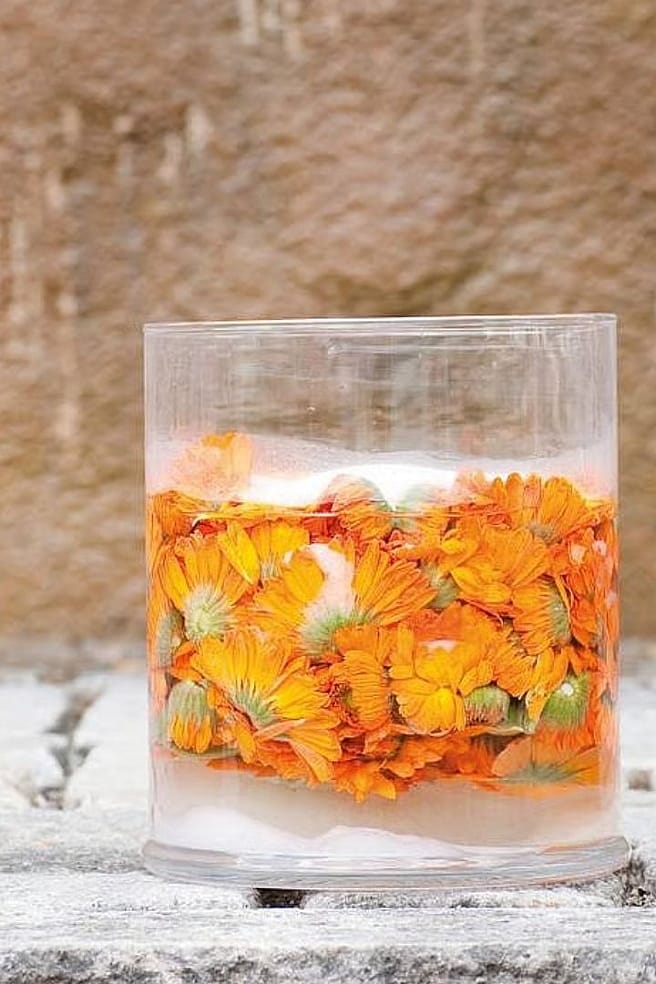 transformation du calendula