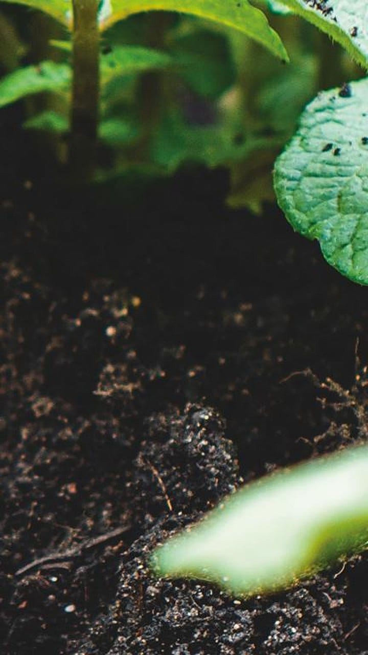 Le sol, la peau de notre terre