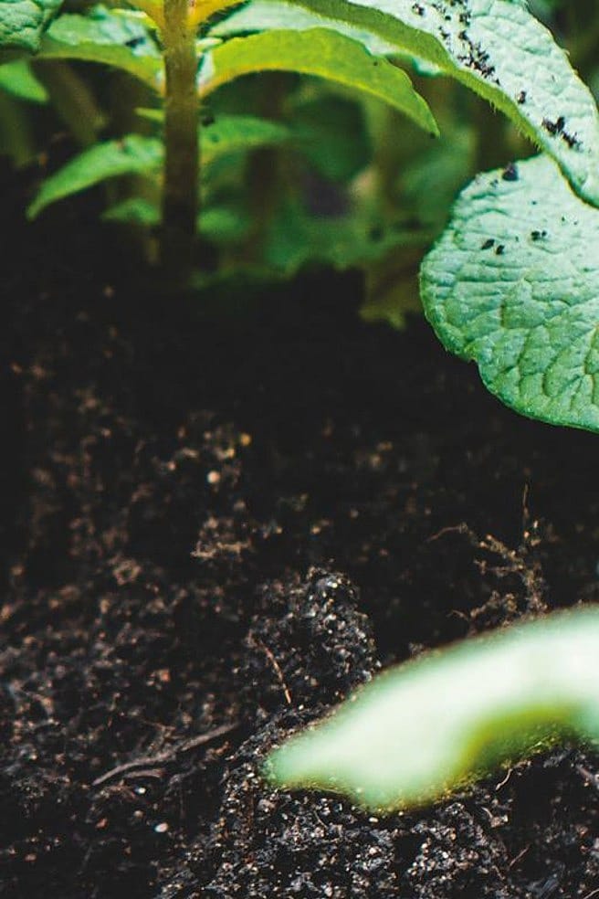 Nos encantaría volver a tenerte con nosotros...