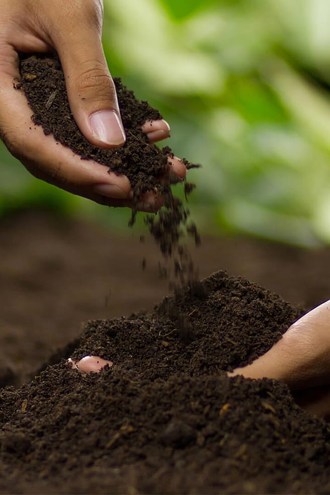 Una mano tiene in mano un mucchio di terra
