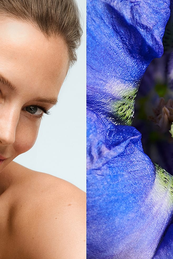 Immagine a sinistra donna con in mano un fiore di genziana, a destra il fiore di genziana