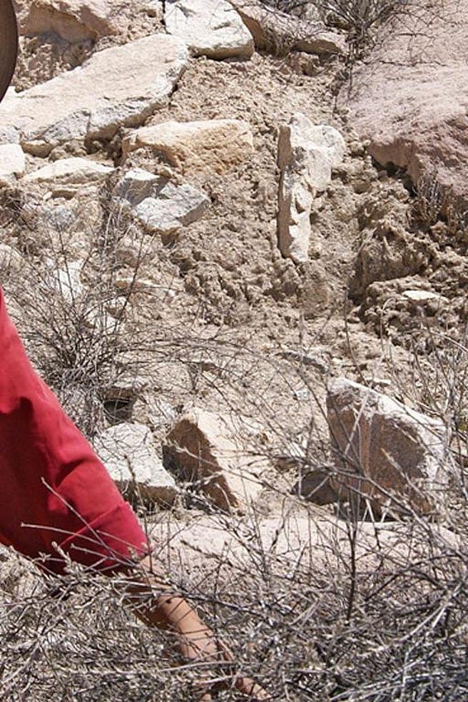 man in a red shirt in front of a mountain