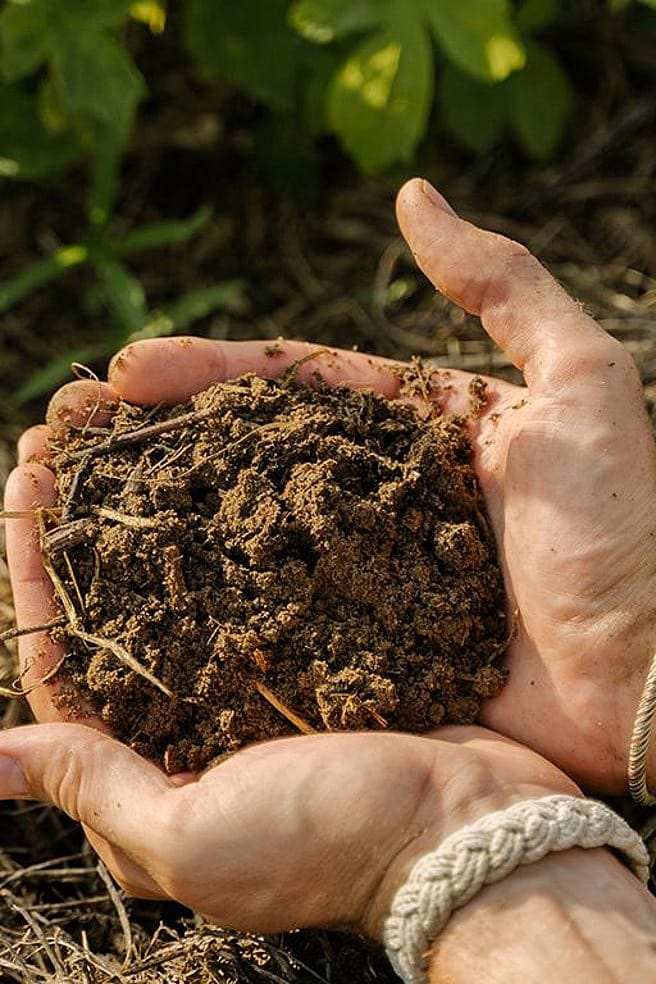 Zwei Haende halten Kompost
