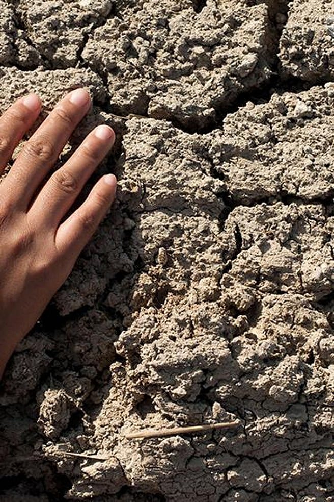 Hand auf einer trockenen Mauer
