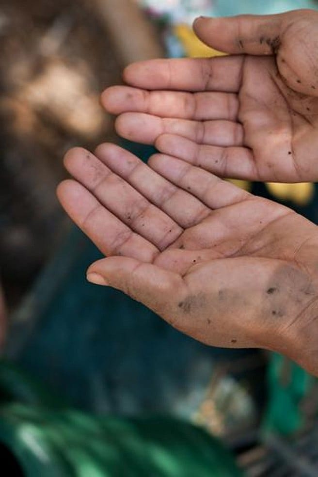 Mains sales et abîmées