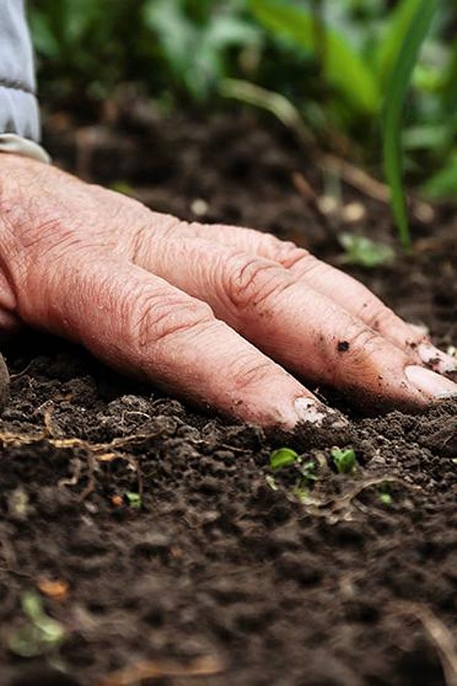 Ausgestrecke Hand auf Erde