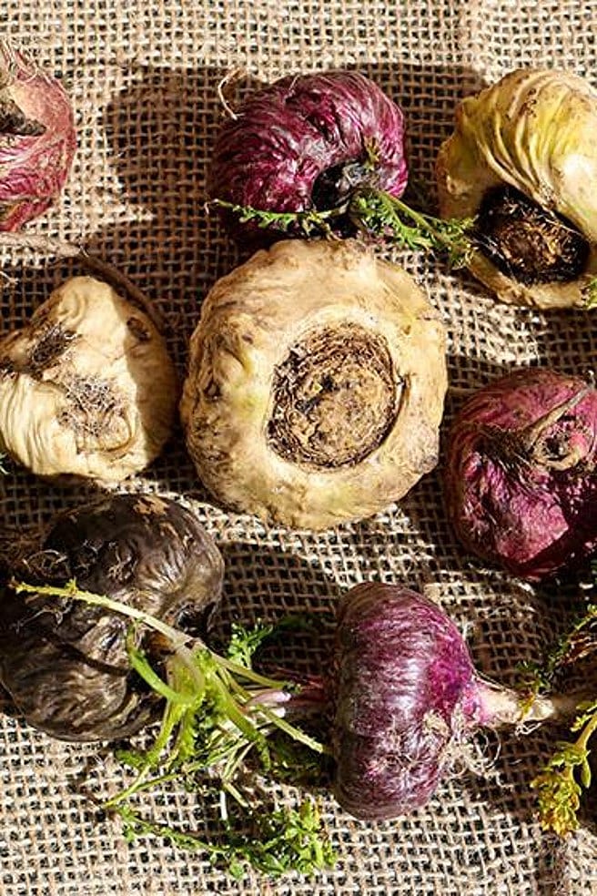 Macawurzeln liegen auf einem Jutesack