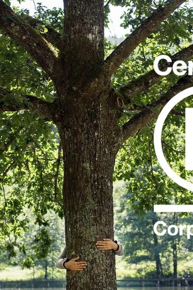 Weleda B Corp boom in groen landschap