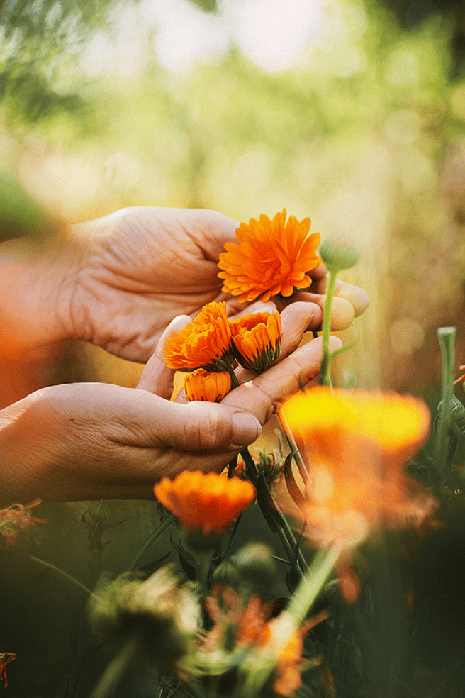 Health & Wellbeing Event