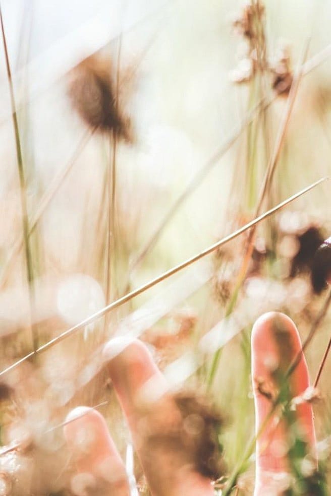 Haal de natuur naar binnen