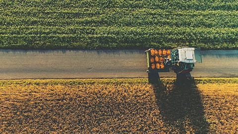 Traktor mit geernteter Calendula auf dem Feld
