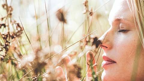 Vrouw die aan bloemen ruikt