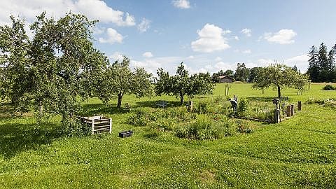 Jardinier dans le jardin