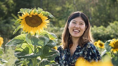 Frau lacht im Sonnenblumen Feld