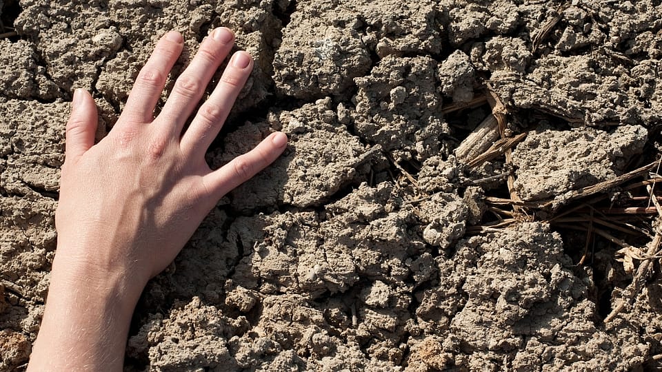 Les mains dans la terre