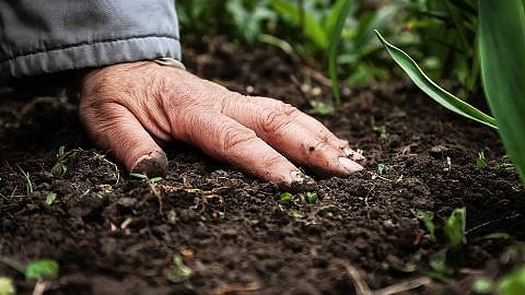 Ausgestrecke Hand auf Erde
