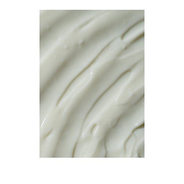 Skin Food Face Experience